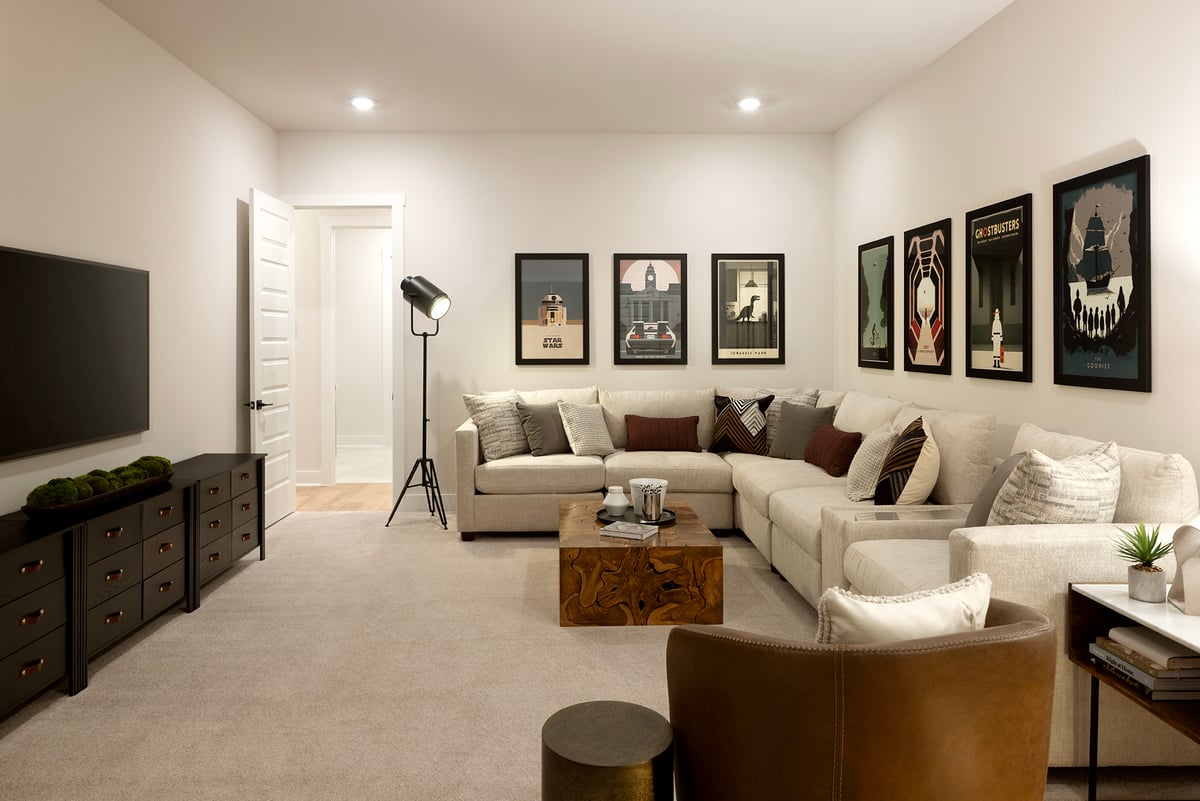 Sisterdale Media Room